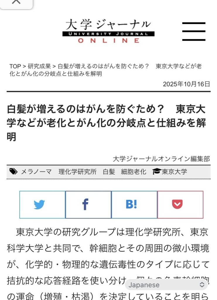 熊本市東区尾ノ上マンツーマン美容室|40代女性に人気、ヘッドスパが得意な美容室、ブログに使った写真