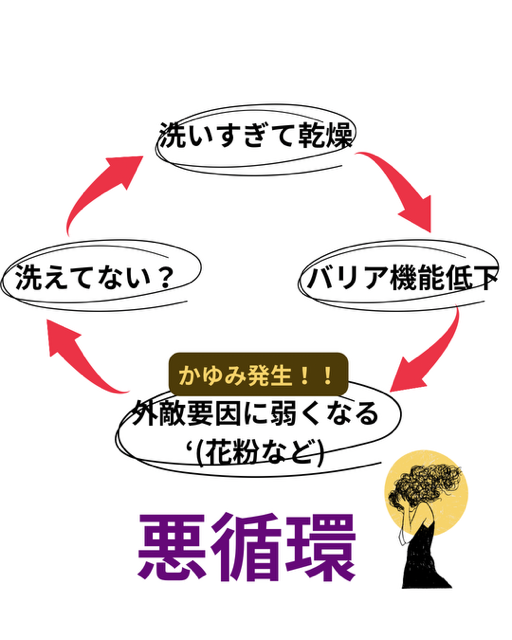 熊本市東区尾ノ上|40代女性に人気の美容室ヨハク|頭皮のかゆみ悪循環悪循環の説明画像